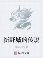 新野城的传说