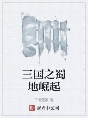 三国之蜀地崛起