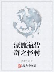 漂流瓶传奇之怪村