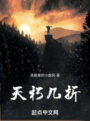 天朽几折