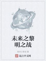 未来之黎明之战