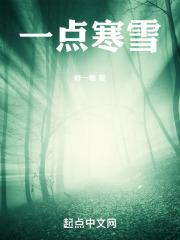 一点寒雪