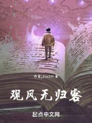 观风无归客
