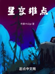 星空维点