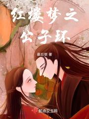 红楼梦之公子环