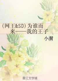 (网王&amp;sd)为谁而来--我的王子