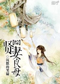 (综同人)贤妻良母人