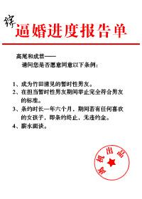 (综同人)[综]逼婚进度报告单