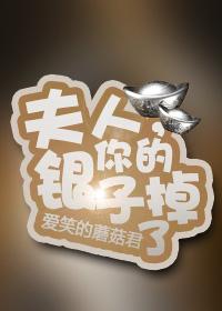 夫人，你的银子掉了gl