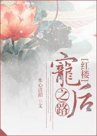 (红楼同人)[红楼]宠后之路
