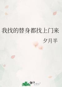 我找的替身都找上门来