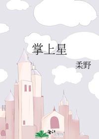 掌上星