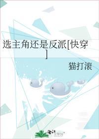 选主角还是反派[快穿]