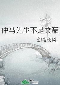 仲马先生不是文豪