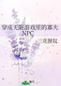 穿成无限游戏里的寡夫NPC