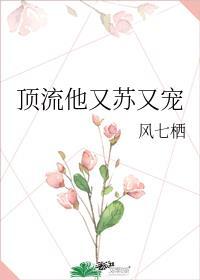 顶流他又苏又宠