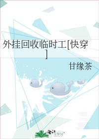 外挂回收临时工[快穿]