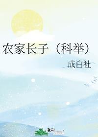农家长子（科举）
