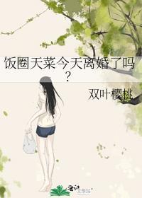 饭圈天菜今天离婚了吗？