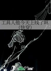 工具人他今天上线了吗（快穿）