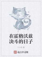 在霍格沃兹决斗的日子
